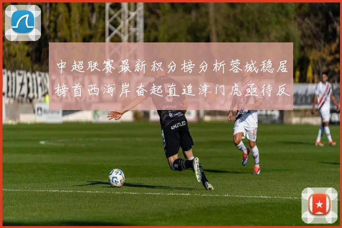 中超联赛最新积分榜分析蓉城稳居榜首西海岸奋起直追津门虎亟待反弹
